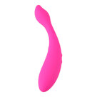 The-Mute-Swan-Vibrator