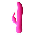 The-Blossom-Swan-Vibrator