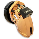CB-6000S-Kuisheidskooi-Goud