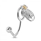 Metalen-Kuisheidskooi-Met-Anaal-Plug