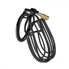 Metalen-Peniskooi-Met-Hangslot-Zwart