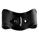 Locking-Posture-Halsband