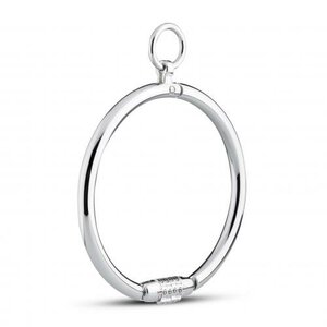Metalen Halsband Met Combinatieslot