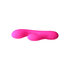 Swan The Whooper Vibrator_