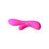 The Silver Swan Vibrator_