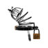 RVS maagdenkooi met siliconen urethra plug_