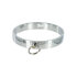 Chrome Slave Collar - Medium/Large_