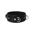 Strict Leather halsband met vergrendelig_