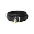 Strict Leather halsband met vergrendelig_