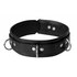 Strict Leather Deluxe Collar_