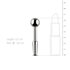 Holle Penis Plug_