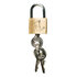 Metalen Peniskooi Met Holle Dilator_