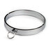 Metalen Halsband_