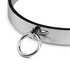 Metalen Halsband_