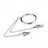 Metalen Halsband Met Tepelklemmen_
