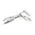 Speculum_