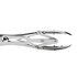 Speculum_