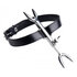 Heretic's Fork - BDSM Halsband_