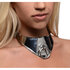 Stalen Halsband Met Hangslot_