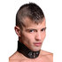 Locking Posture Halsband_
